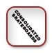 Consolidated Skateboards